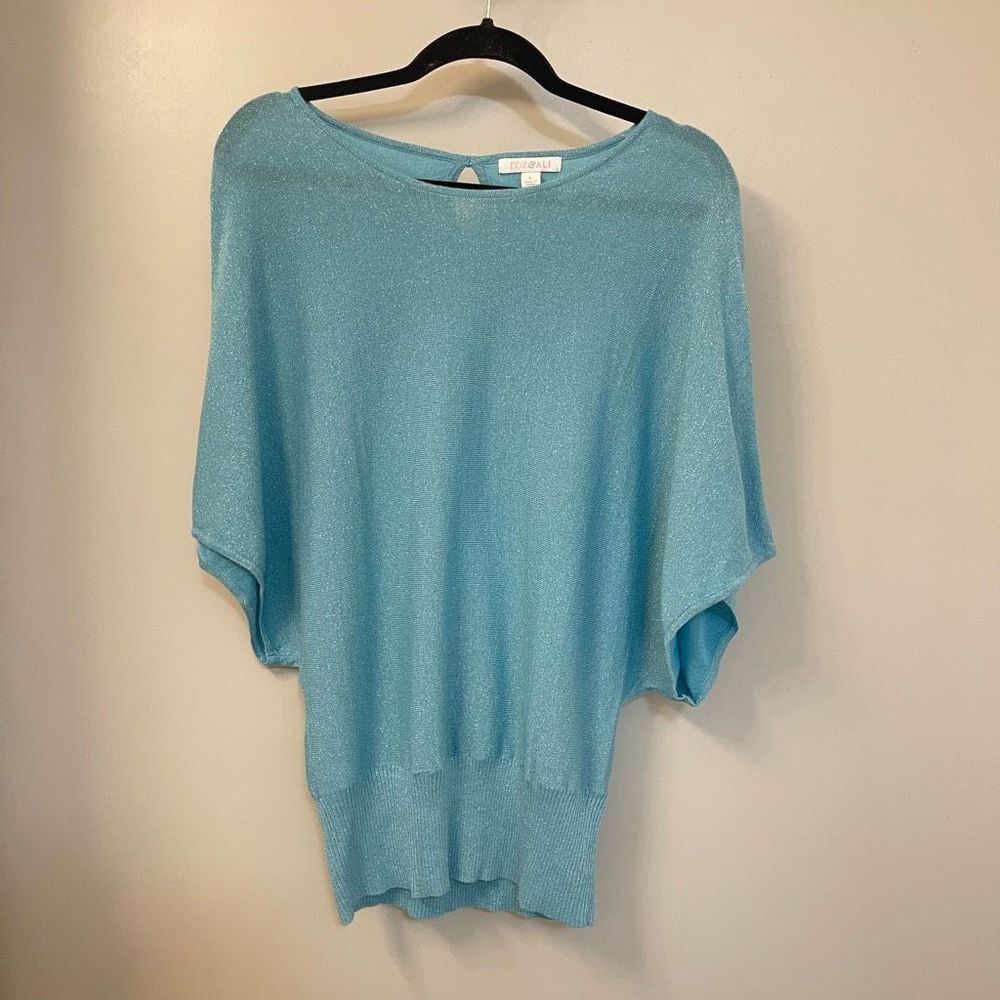 Roz&Ali Women Sweater Large  Blue Metallic Crew Neck